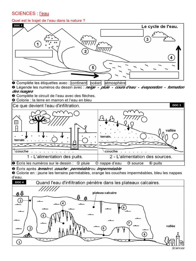 Comment L eau Arrive t elle à La Maison Schéma élèves Du Primaire Eau L | PDF | Eau | Boire de l'eau