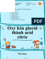 Oxi Hóa Glucid Thành Acid Citric 1