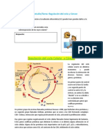 Guía de Estudio - Regulacion Del Ciclo Celular y Cáncer