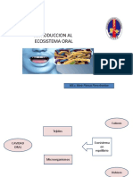 Tema 30 Introcuccion Al Ecosistema Bucal