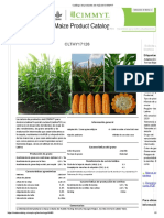 Catálogo de productos de maíz 