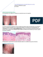 Patología de Las Enfermedades Inflamatorias en La Piel