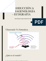 Introducción A La Imagenología - Ecografia 1