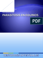 Parasitos en Equinos