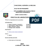 Informe 5-Acui 2