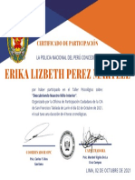 Certificado Erika Perez 2