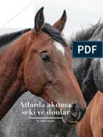 Atlarda Akıtma, Seki Ve Donlar, Z Dergisi - 6. 08.03.2019