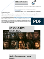 Hominidos Evolución Humana Séptimo Básico B 2020