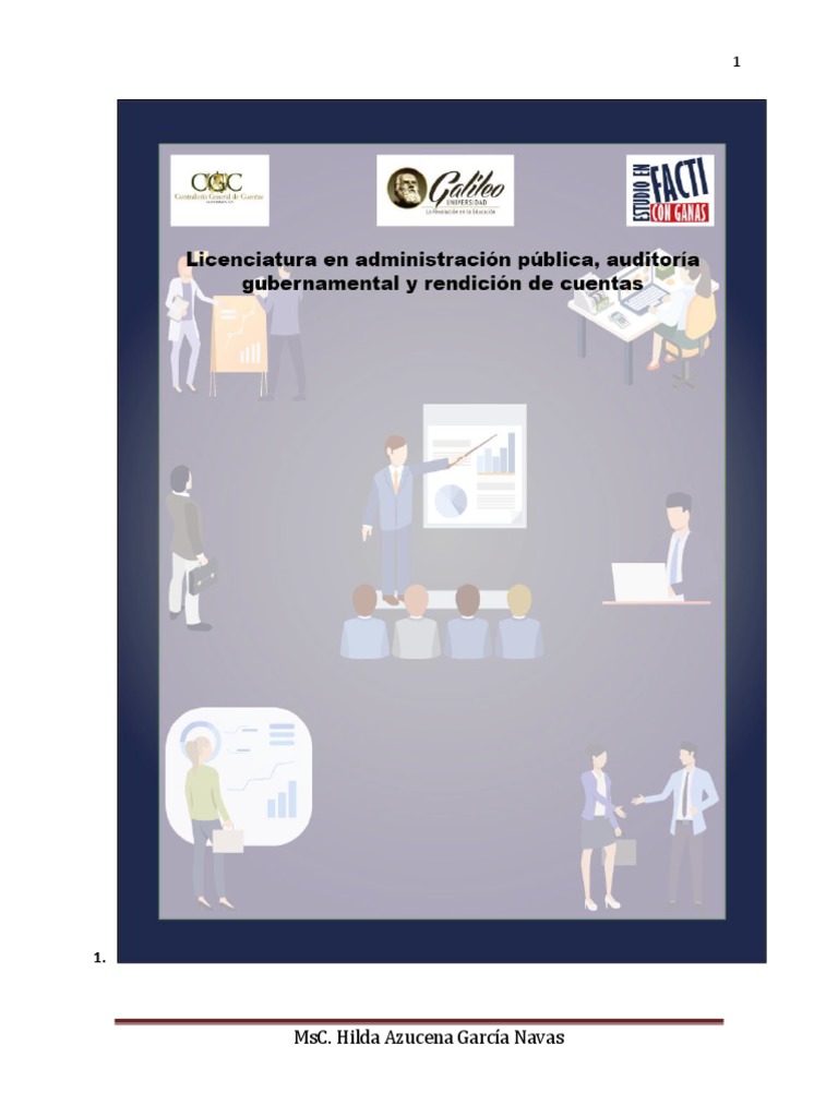 Concepto Fundamental de Auditoria Gubernamental | PDF | Auditoría ...