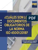 dOCUMENTOS DE LA ISO 45001