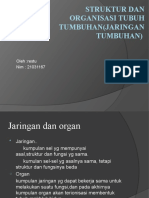 Struktur Dan Organisasi Tubuh Tumbuhan (Jaringan Tumbuhan)