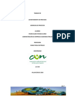 Mapa de procesos y levantamiento del proceso crítico de producción de cacao