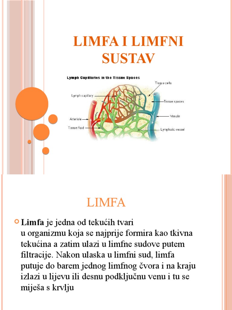 Limfa I Limfni Sustav | PDF