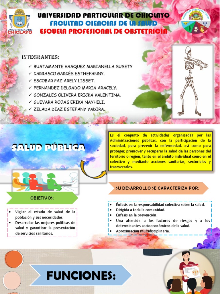 Salud Pública Pdf Salud Pública Ciencias De La Salud