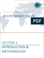 Acute Kidney Injury: KDIGO 2012 Clinical Practice Guideline