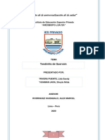 "Año de La Universalización de La Salud": Instituto de Educación Superior Privado "Arzobispo Loayza"