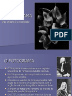 A história e técnica do fotograma desde suas origens até os dias atuais