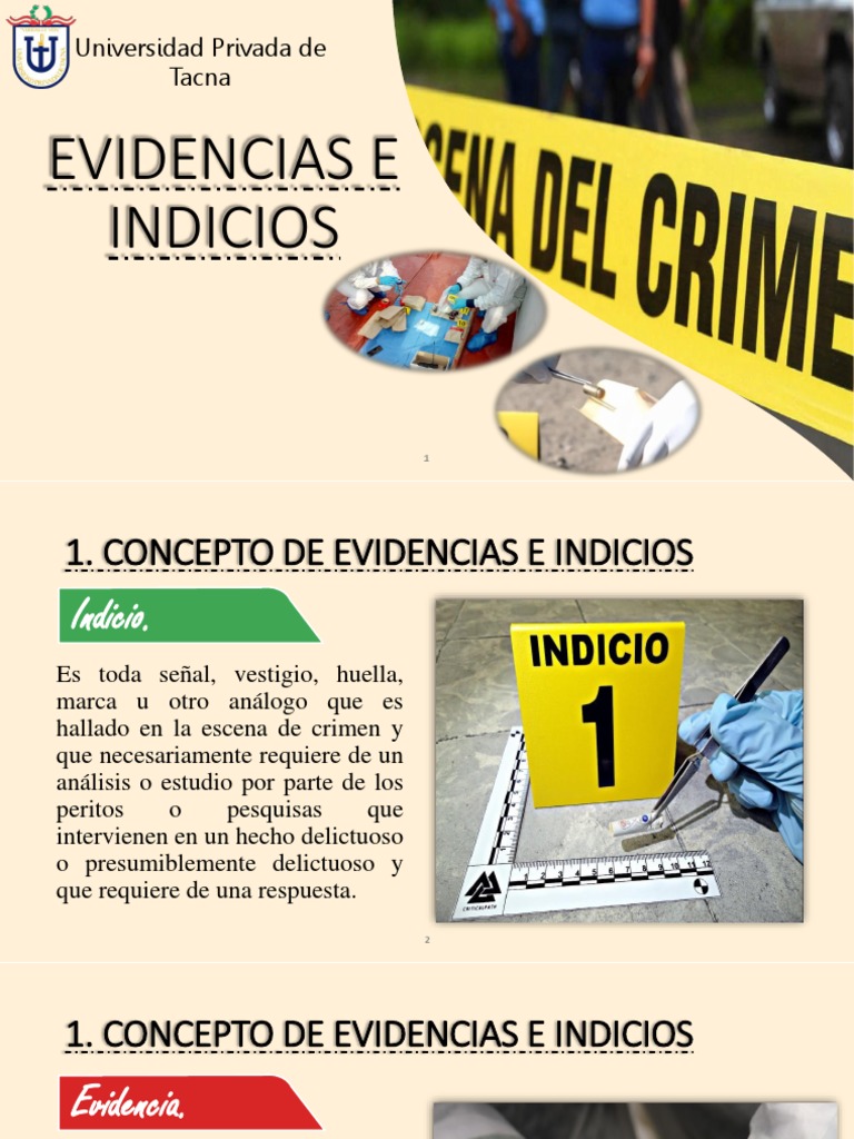 Tipos de Evidencias e Indicios Criminales | PDF | Ciencia forense