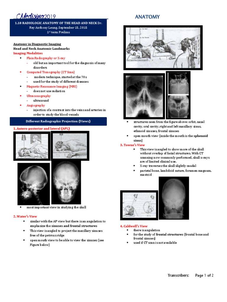 1.18 Radiologic Anatomy of The Head and Neck | PDF | Ct Scan | Medical ...