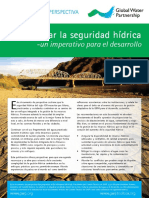 Perspectives Paper Water Security Spanish