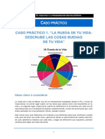 Caso Práctico Rueda de Tu Vida