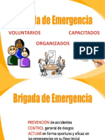 Presentacion Brigada Emergencia Diana G