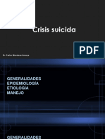 SEM 14 Crisis Suicida