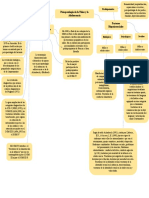 Mapa Mental y Matrices Sobre La Niñez y Adolescencia Psicopatología