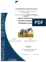 Manual de Prácticas de Anatomía Topográfica Veterinaria Aplicada Autor Gerardo Olmedo Perez