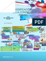 517 Mapa Mental Gallareta