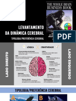 TESTE DE PREFERÊNCIA CEREBRAL Interpretação