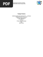 Guia Fauna | PDF | Esponja | Moluscos