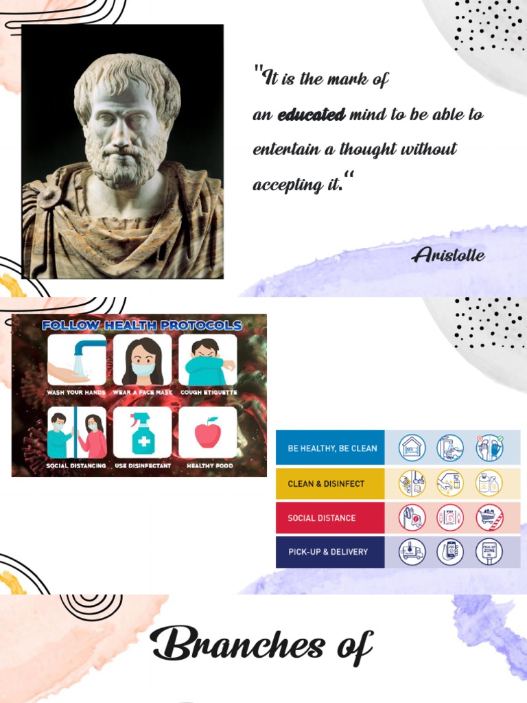 Branches of Philosophy PDF Metaphysics Epistemology