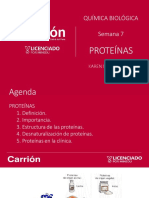 Proteínas: estructura, importancia y aplicaciones clínicas