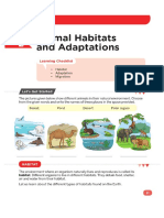 Habitat and Adaptations - Class 4