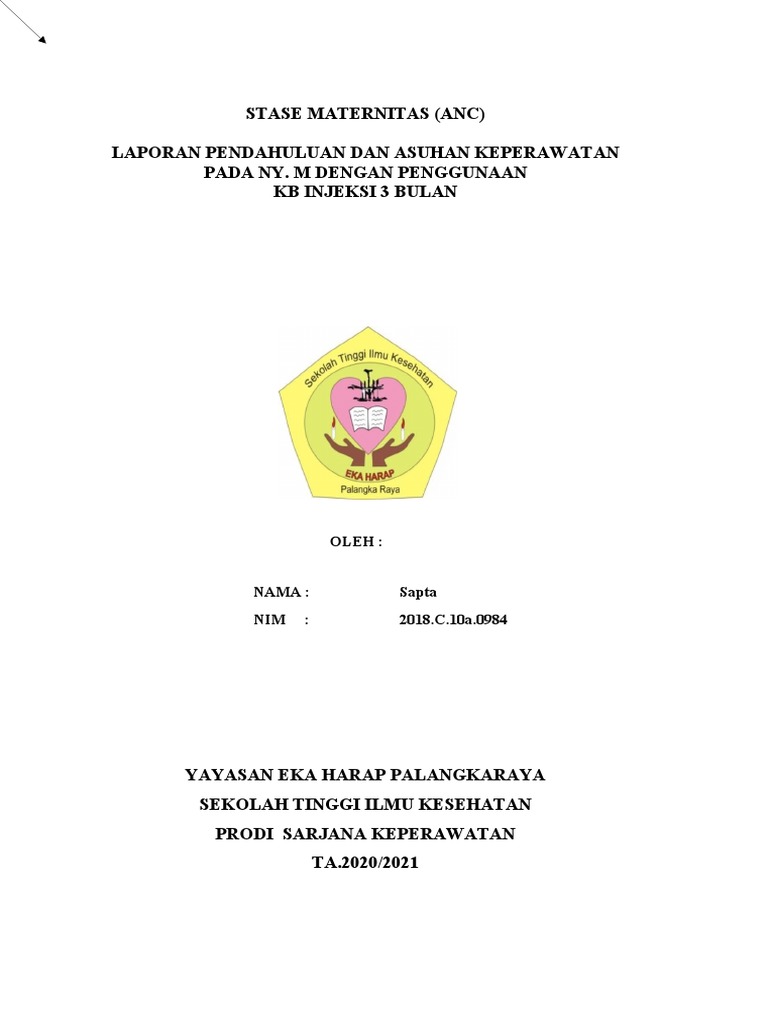 KB Injeksi 3 Bulan | PDF