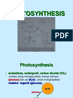Photosynthesis Handout Pakai