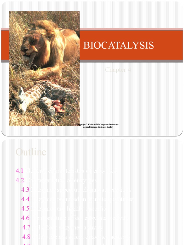 Chapter 4 - Biocatalysis | PDF | Enzyme | Activation Energy