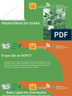 Apresentao Seminrio OCPC