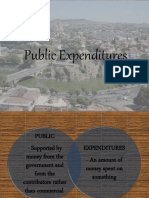 Public Expenditures