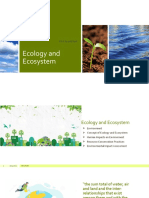 Ecology and Ecosystem: Click To Add Text
