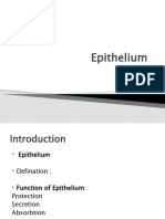 Epithelium: Histology