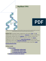 Replikasi DNA