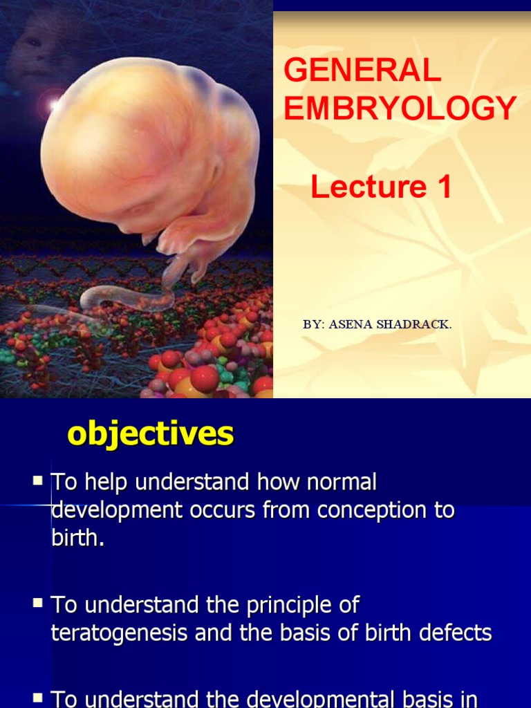 General Embryology Lecture 1 and 2 - Day 1-Third Week | PDF | Meiosis ...