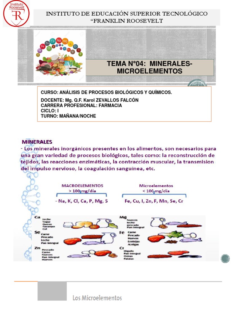 S4 Microelementos | PDF