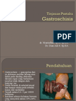307975924-Gastroschisis-ppt