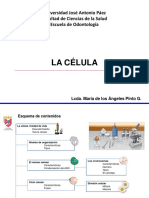 Tema 1. La Célula