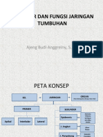 STRUKTUR DAN FUNGSI JARINGAN TUMBUHAN