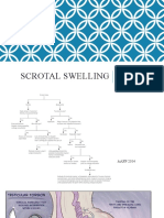 Scrotal Swelling - Amila Yashifa