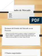 Estudio de Mercado - Formulacion Ed Proyeccion e Inversion.